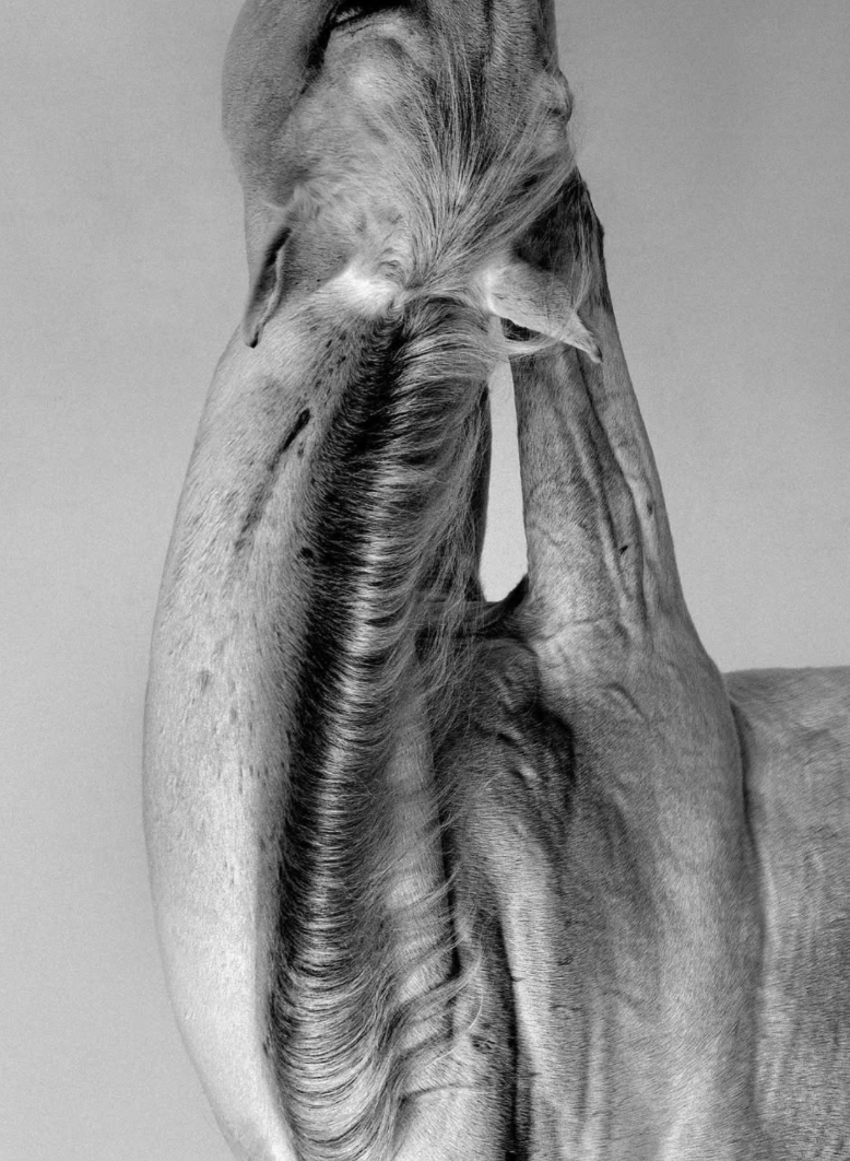 PLACEHOLDER PRODUCT 1